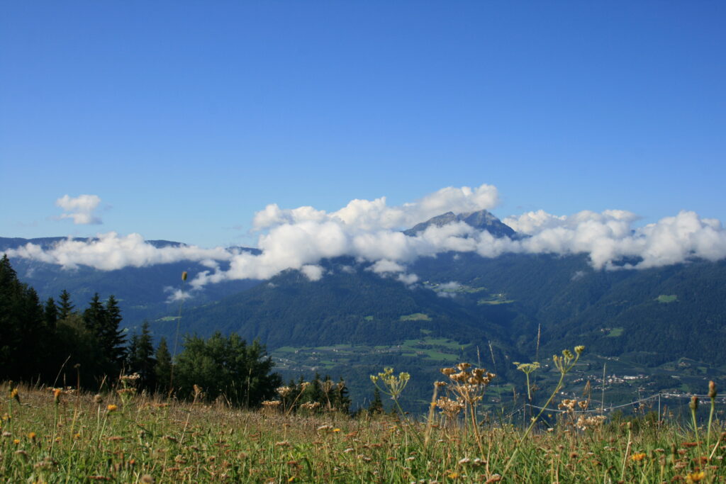 Blick über das Etschtal