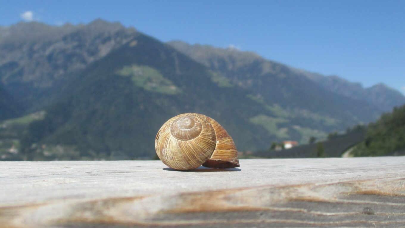 Schneckenhaus beim Knottnkino